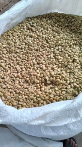 About product export (4)